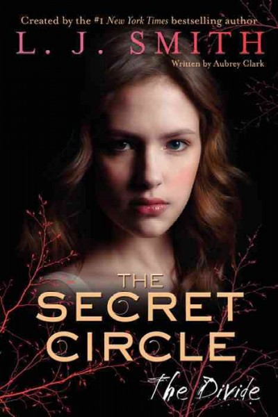 The secret circle [electronic resource] : the divide / created by L.J. Smith ; written by Aubrey Clark.