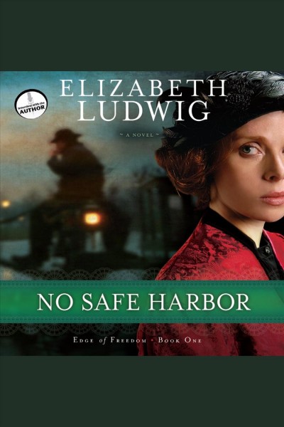 No safe harbor [electronic resource] / Elizabeth Ludwig.
