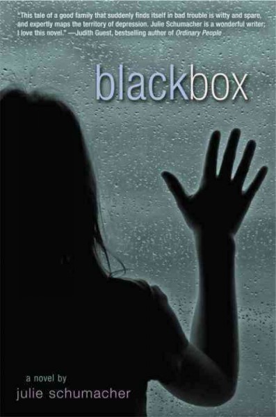 Black box [electronic resource] : a novel / by Julie Schumacher.