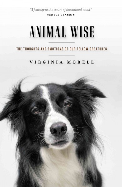 Animal wise : the thoughts and emotions of our fellow creatures / Virginia Morell.