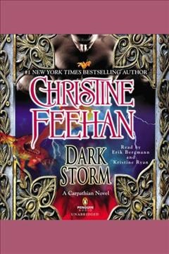 Dark storm [electronic resource] / Christine Feehan.