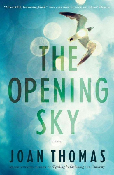 The opening sky / Joan Thomas.