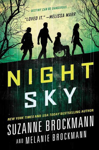 Night sky / Suzanne Brockmann and Melanie Brockmann.