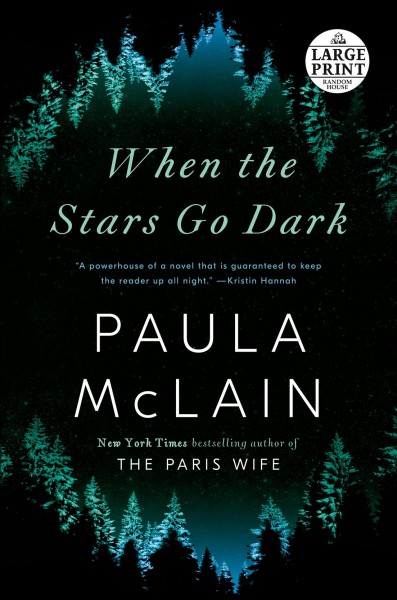 When the stars go dark : a novel / Paula McLain.