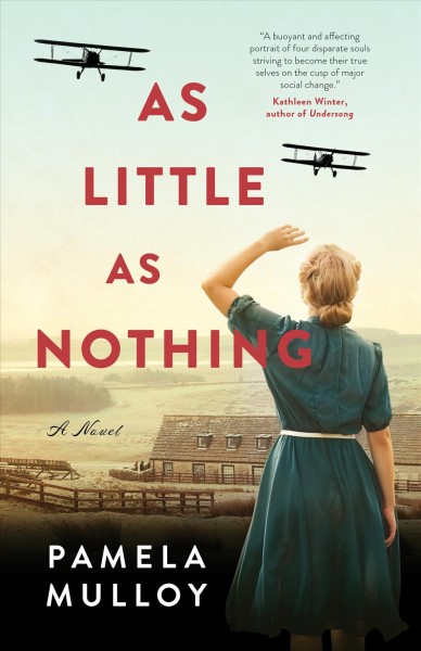 As little as nothing : a novel [electronic resource] / Pamela Mulloy.