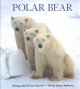 Go to record Polar bear