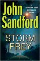 Storm prey Cover Image