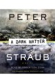 A dark matter [a novel]  Cover Image