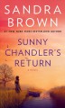 Sunny Chandler's return Cover Image