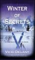 Winter of secrets Cover Image