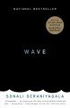 Wave : a memoir  Cover Image