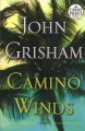 Camino winds : a novel  Cover Image