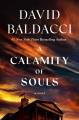 A calamity of souls : a novel  Cover Image